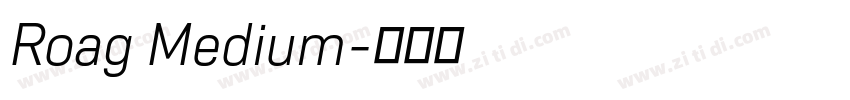 Roag Medium字体转换